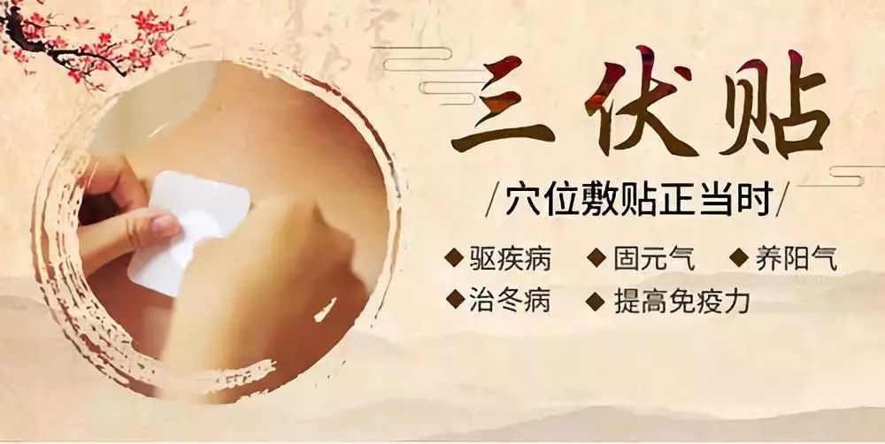 關(guān)于三伏貼，你了解多少呢？